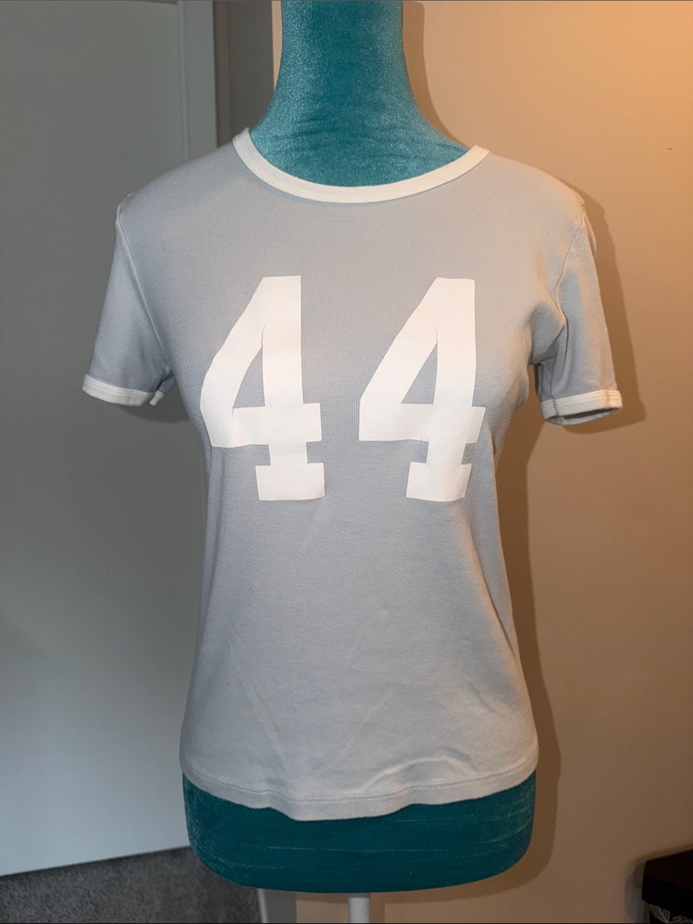 Brandy Melville Light Blue Tee with White '44' Graphic